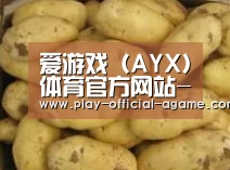 产品展示标题6