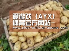 产品展示标题3