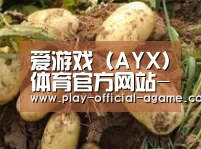 产品展示标题2
