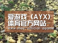 种植基地七