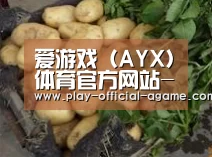产品展示标题4