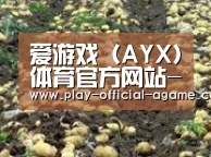 种植基地八(图1)