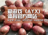 产品展示标题5(图1)
