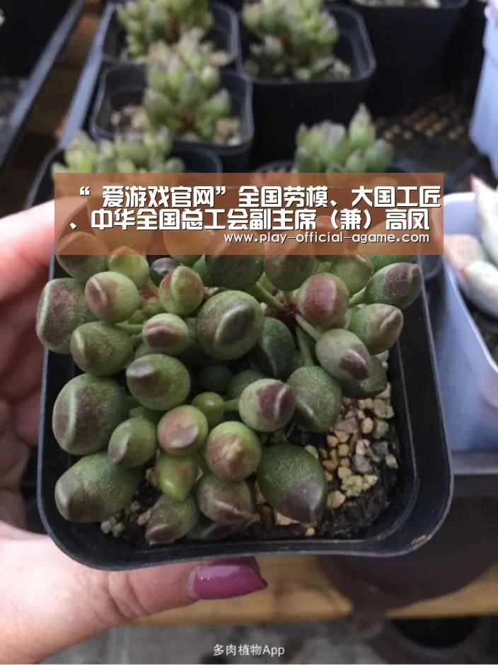 爱游戏体育