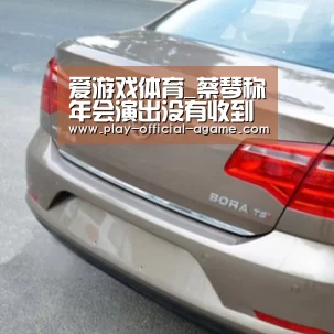 爱游戏体育