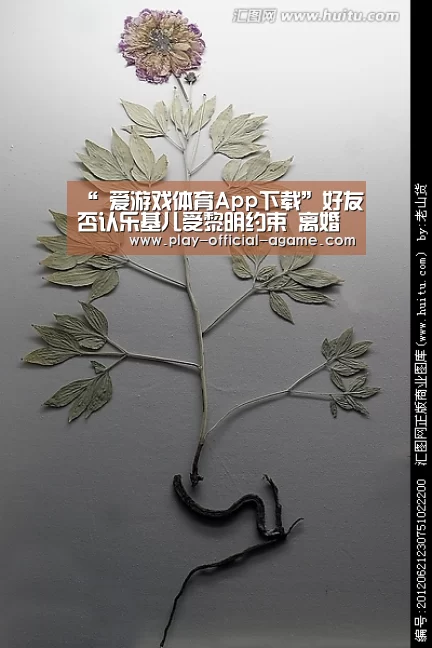  爱游戏体育App下载