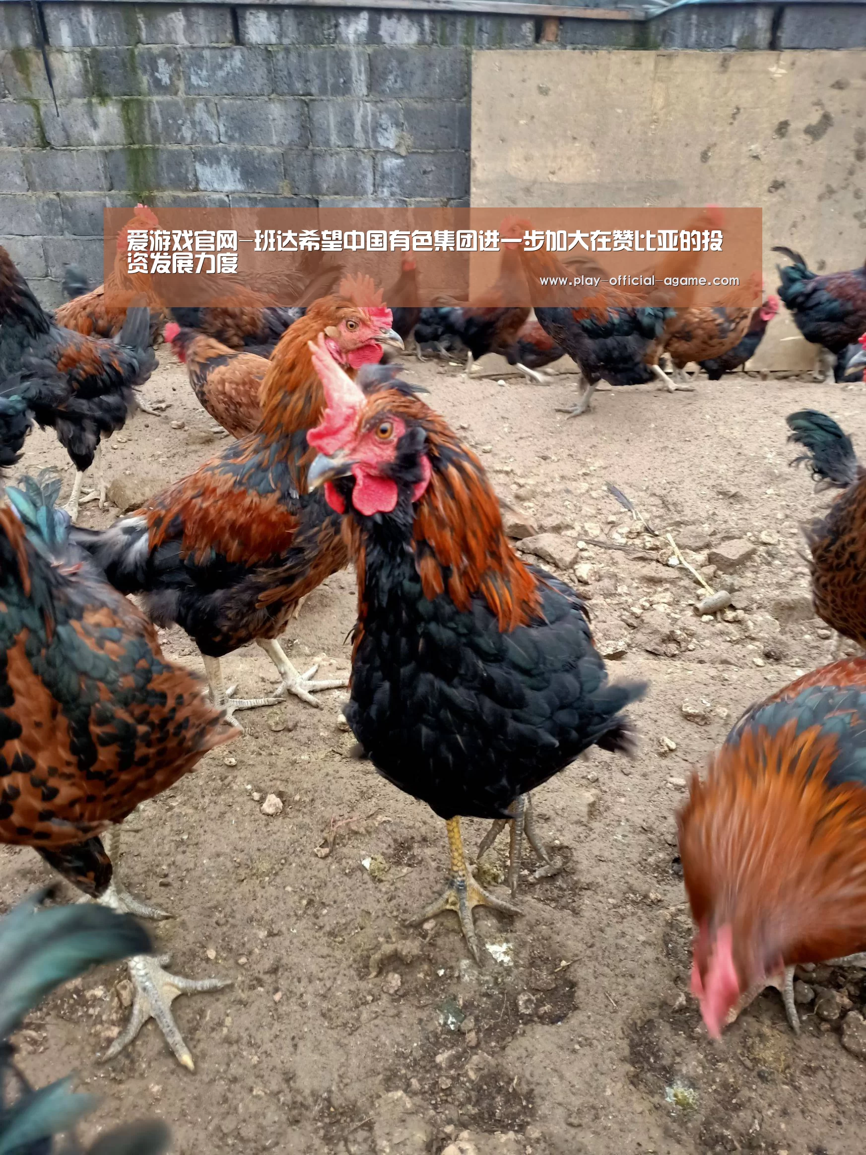 爱游戏官网-班达希望中国有色集团进一步加大在赞比亚的投资发展力度(图1) 爱游戏体育App下载