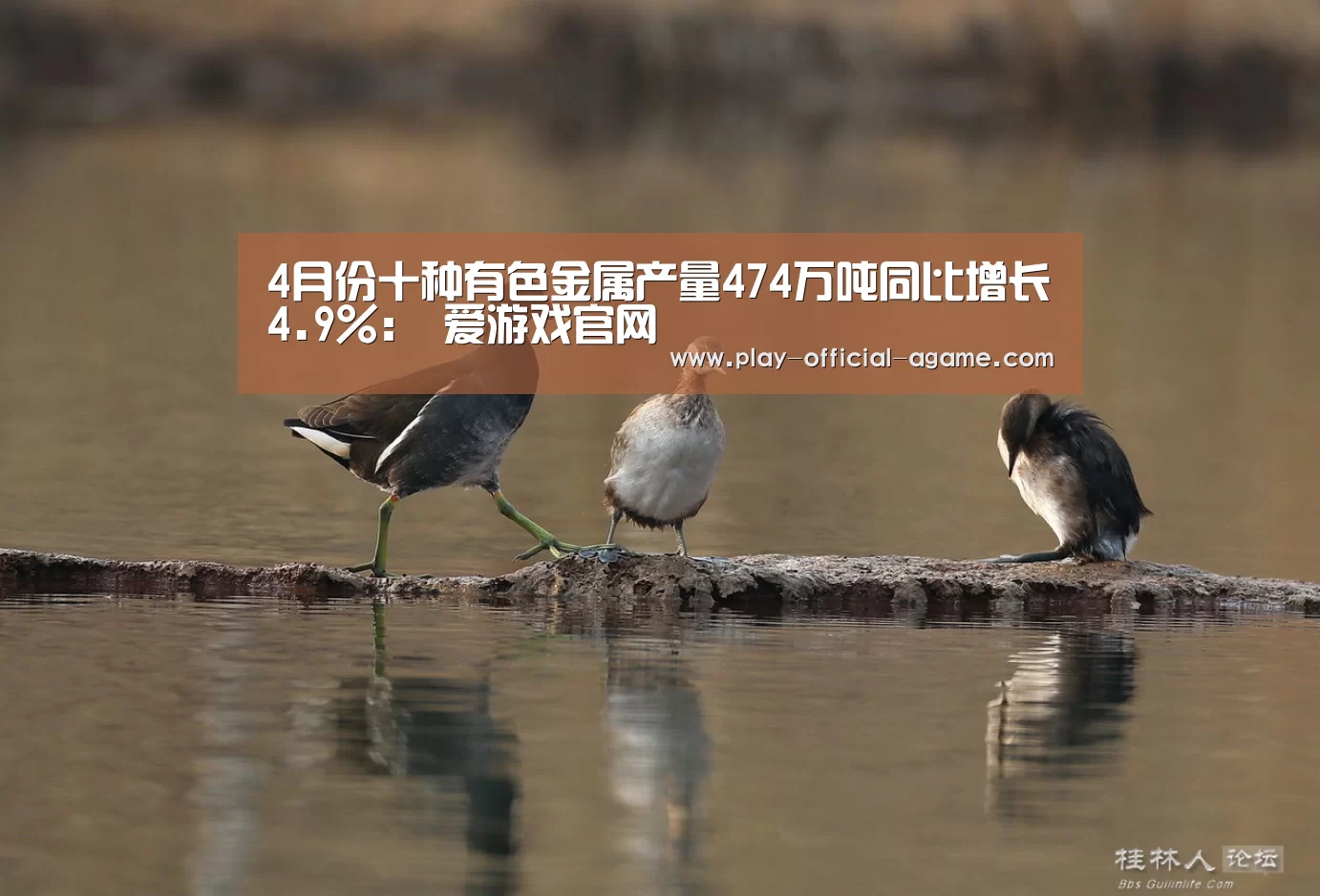  爱游戏体育App下载